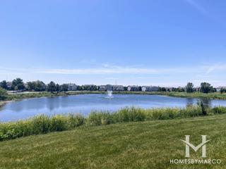 Cedar Ridge subdivision in Lockport, IL