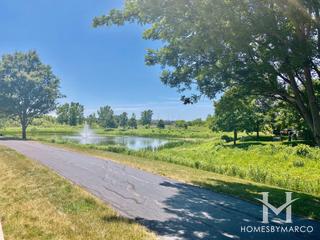 Cedar Ridge subdivision in Lockport, IL