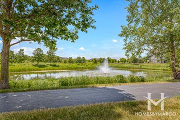 Cedar Ridge subdivision in Lockport, IL