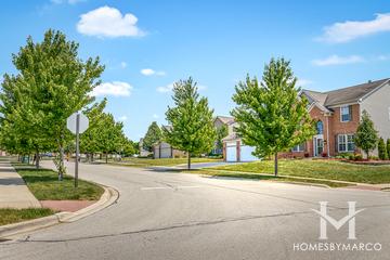 Cedar Ridge subdivision in Lockport, IL