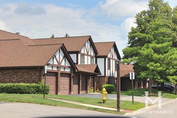 Briarcliffe Lakes subdivision in Wheaton, IL