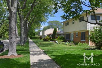 Devonshire Highlands