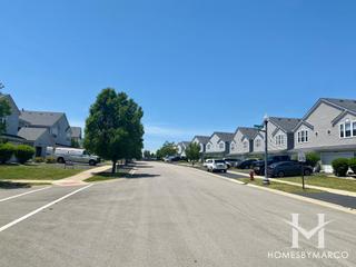 Victoria Crossing subdivision in Lockport, IL
