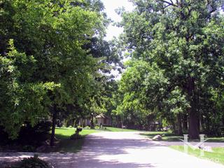 Prestwick subdivision in Frankfort, IL
