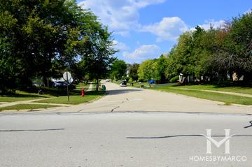 Countryside subdivision in Lake Zurich, IL
