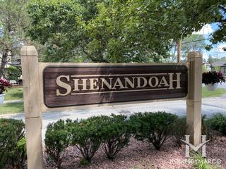 Photos of Shenandoah Townhomes subdivision in Orland Park, IL