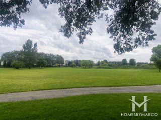 Golden Meadows subdivision in Plainfield, IL