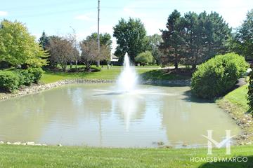 Summerfield subdivision in Plainfield, IL