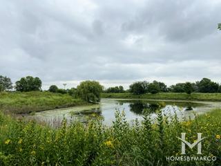 Reserve at Century Trace subdivision in Plainfield, IL