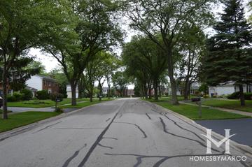 Longmeadow subdivision in Downers Grove, IL