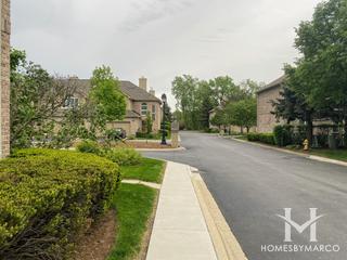 Ashbury Woods subdivision in Hinsdale, IL