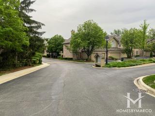 Ashbury Woods subdivision in Hinsdale, IL