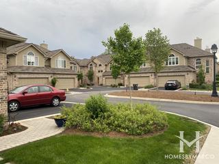 Ashbury Woods subdivision in Hinsdale, IL
