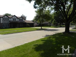 Park Manor subdivision in Elmhurst, IL