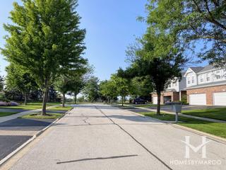 Chestnut Hills subdivision in Burr Ridge, IL