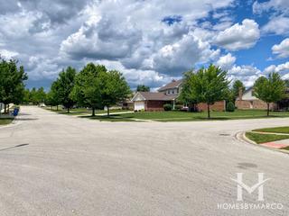 Wellington subdivision in New Lenox, IL