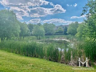 Prairie Crossing Estates subdivision in New Lenox, IL