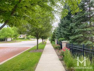 Savoy Club subdivision in Burr Ridge, IL