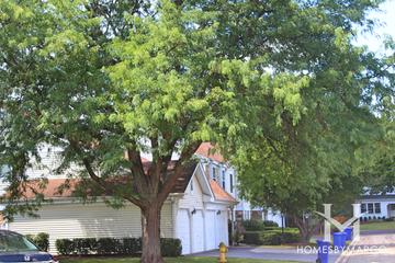 Woodside subdivision in Wheaton, IL