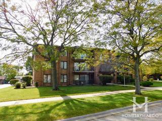 Treetop subdivision in Orland Park, IL