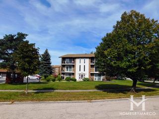 Treetop subdivision in Orland Park, IL