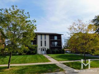 Treetop subdivision in Orland Park, IL