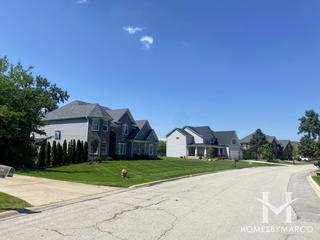 Carriage Green subdivision in Darien, IL
