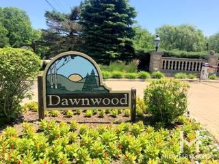 Dawnwood