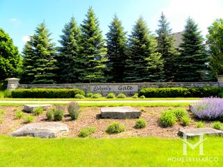 Evlyn's Gate subdivision in Homer Glen, IL