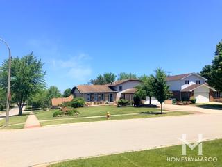Meadowview Estates subdivision in Homer Glen, IL