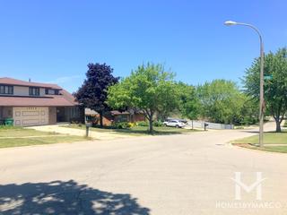 Meadowview Estates subdivision in Homer Glen, IL