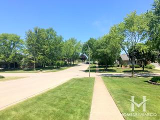 Meadowview Estates subdivision in Homer Glen, IL