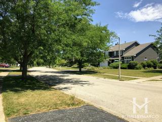 White Pines subdivision in Oswego, IL