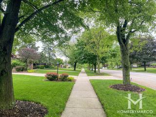 Timberlake Estates subdivision in Willowbrook, IL