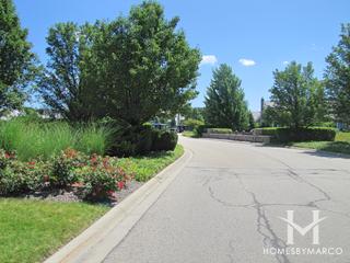Stonebridge subdivision in Lake Forest, IL