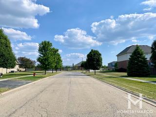 Cherry Hill subdivision in New Lenox, IL
