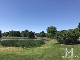 Country Woods subdivision in Homer Glen, IL