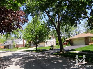 Riegel Manor subdivision in Homewood, IL