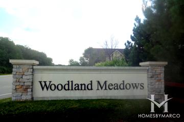 Woodland Meadows