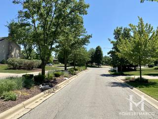 Broken Arrow Dakota Glen subdivision in Lockport, IL