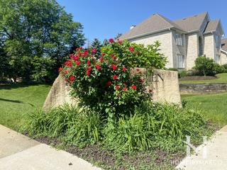 Photos of Smart Oaks subdivision in Darien, IL