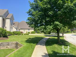 Smart Oaks subdivision in Darien, IL