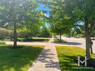 Riivendell subdivision in New Lenox, IL