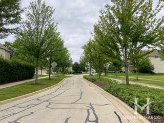 Grande Park Fieldstone subdivision in Plainfield, IL