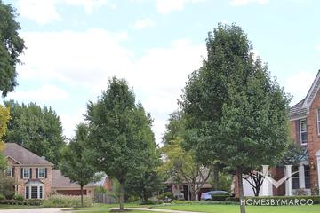 Orchard Estates subdivision in Wheaton, IL