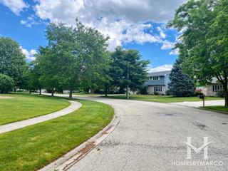 Chestnut Pointe subdivision in New Lenox, IL