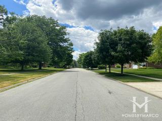 Chestnut Pointe subdivision in New Lenox, IL