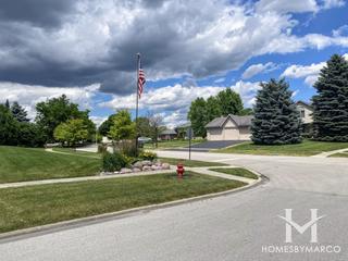 Chestnut Pointe subdivision in New Lenox, IL