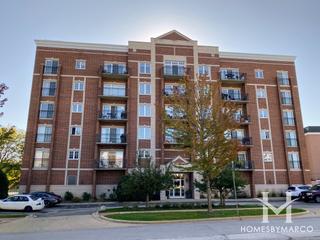 Wellington at Twin Lakes building in Palatine, IL