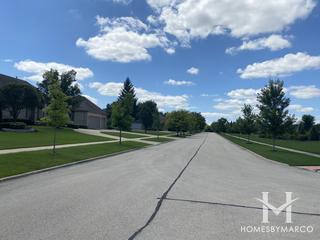 Country Pond Estates subdivision in Mokena, IL